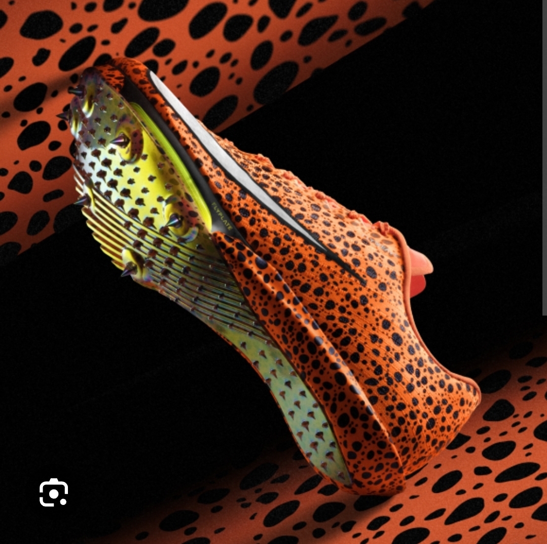 Nike Air Zoom Maxfly 2 OLY