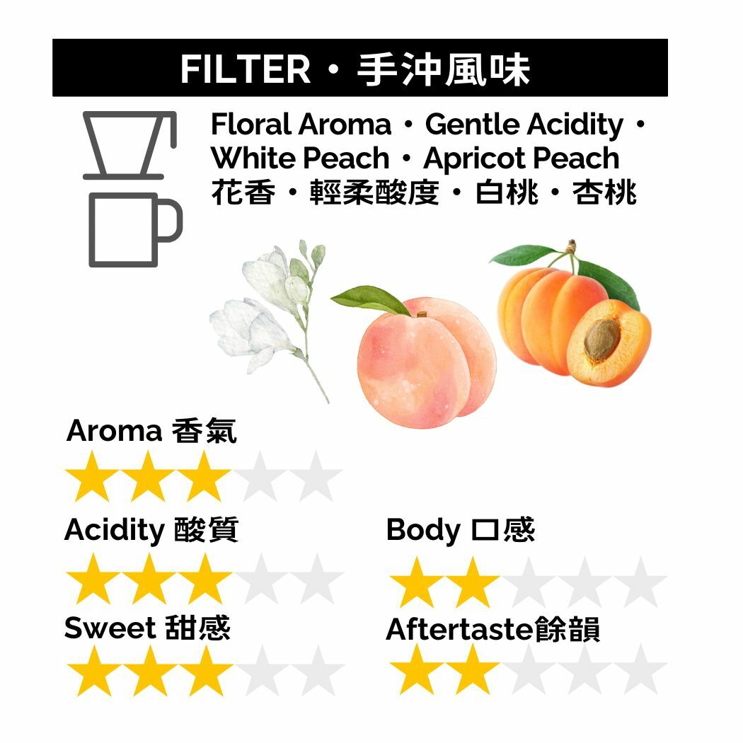 GB013 埃塞俄比亞 耶加雪夫 水洗