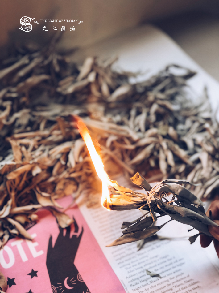 北美淨化聖品 銷量最多 香草專賣 50g/100g美國進口 白鼠尾草 or 白色鼠尾草散裝－光之薩滿