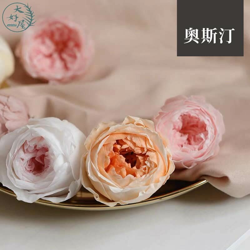 永生庭園玫瑰 (永生奧斯汀玫瑰)