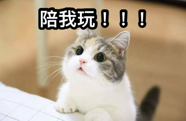0319 測試