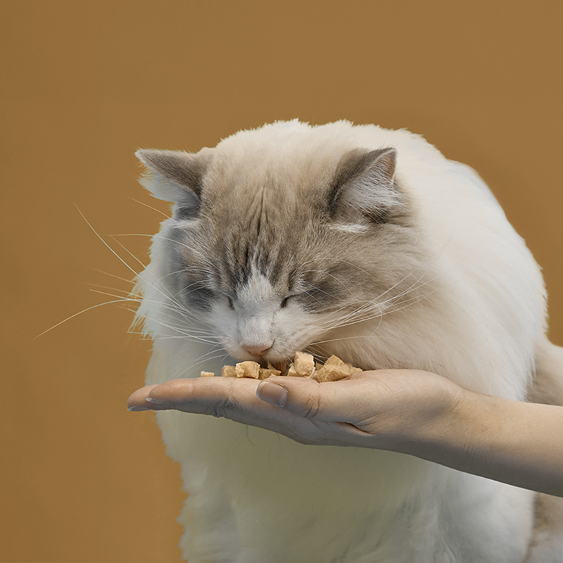 (⏰即期良品)HOMI毛與家 凍未條｜酥酥mini丁15g