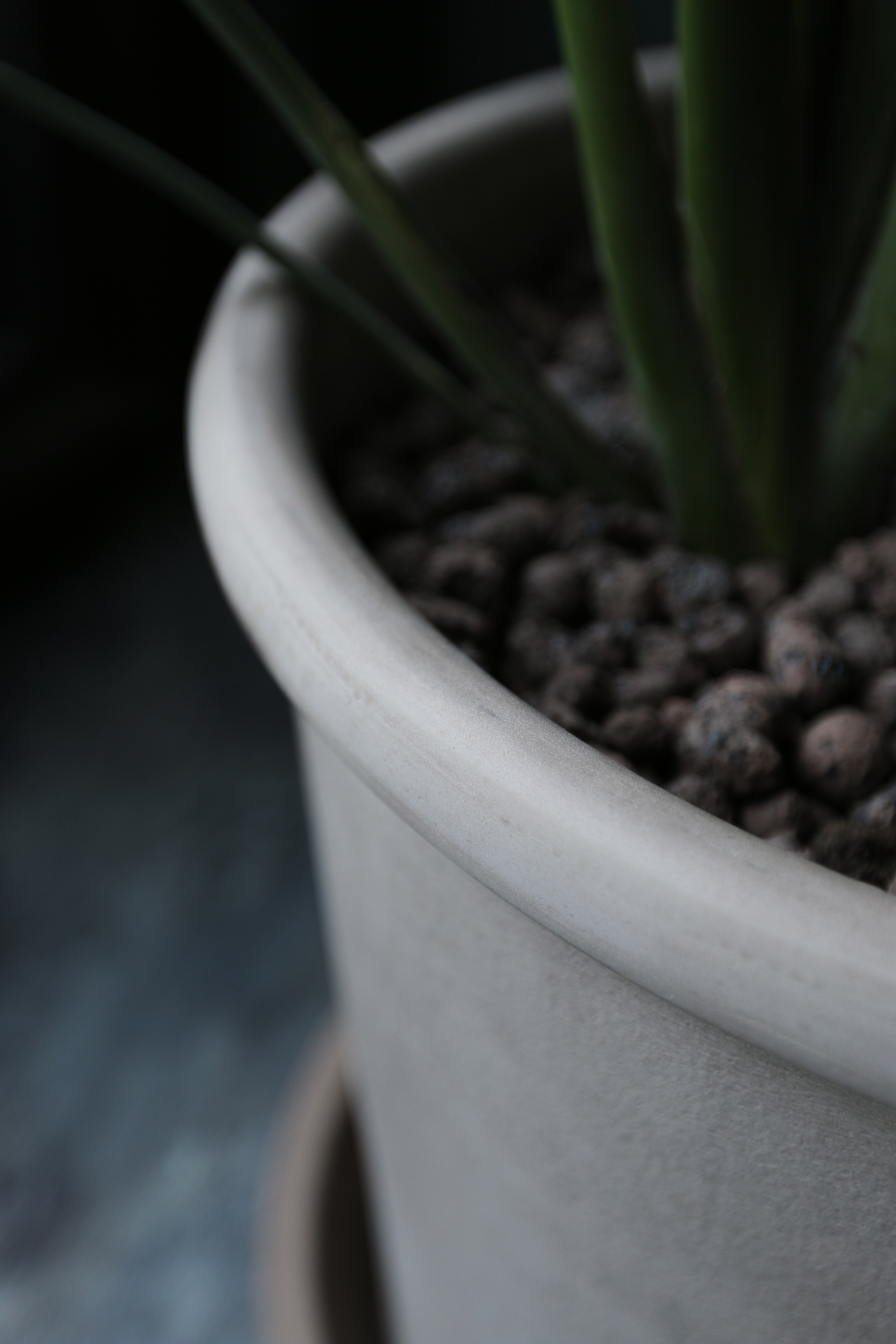 細葉天堂鳥〈I〉Strelitzia reginae｜義大利陶盆 Deroma