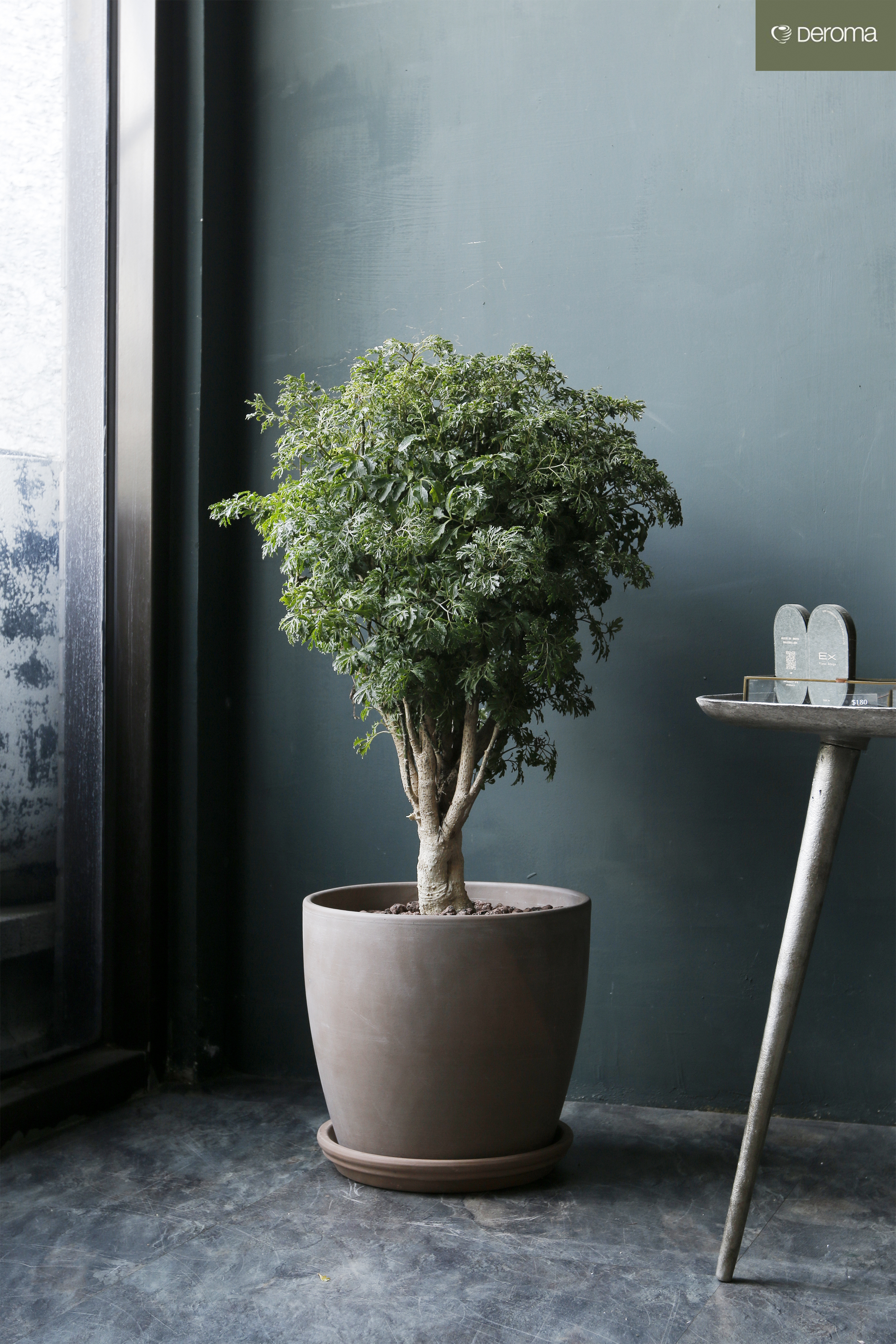 original.jpg?1742376869