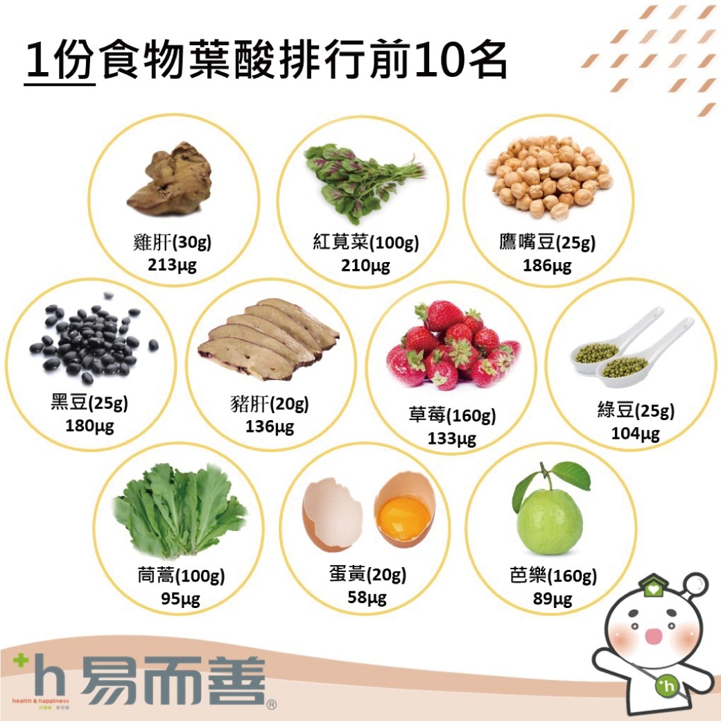 含鐵食物排行前十