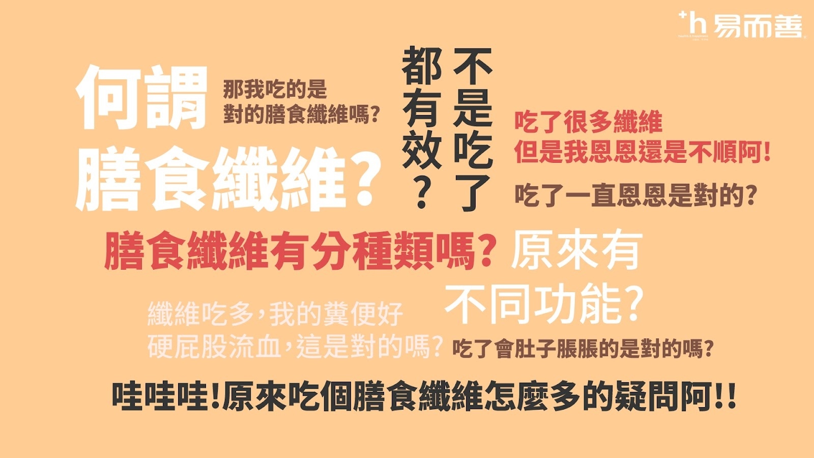 解開膳食纖維的謎團｜膳食纖維是什麼? 有什麼功能呢?