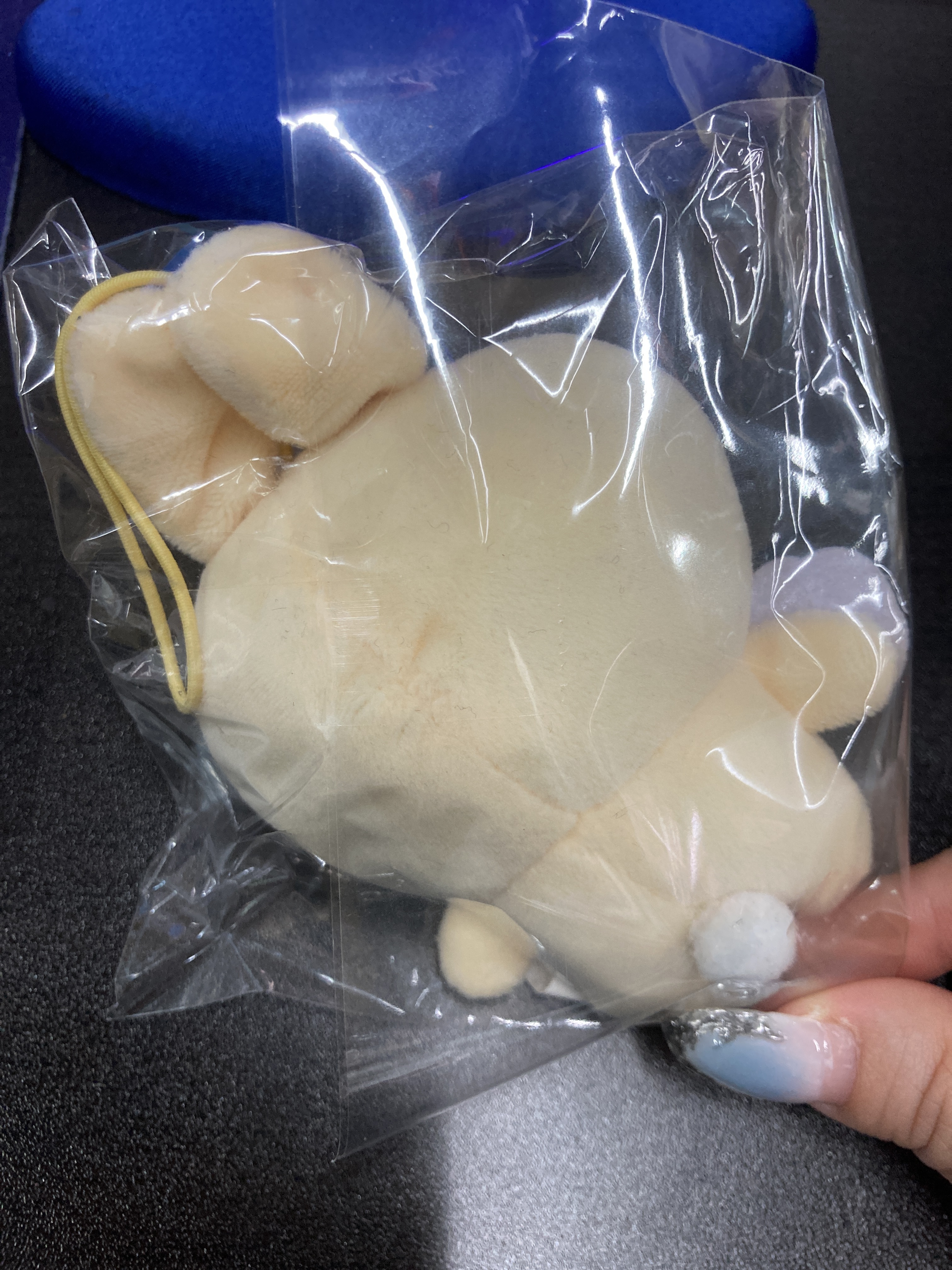 CHIIKAWA  兔兔 公仔#210