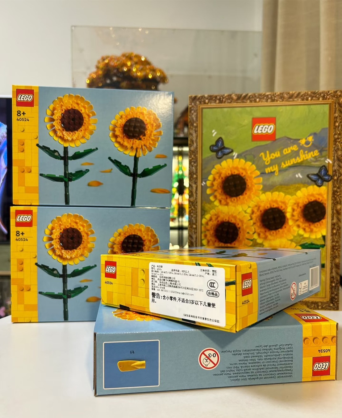 KTQ STORE ‧  LEGO 樂高 樂高LEGO 積木CREATOR系列 向日葵