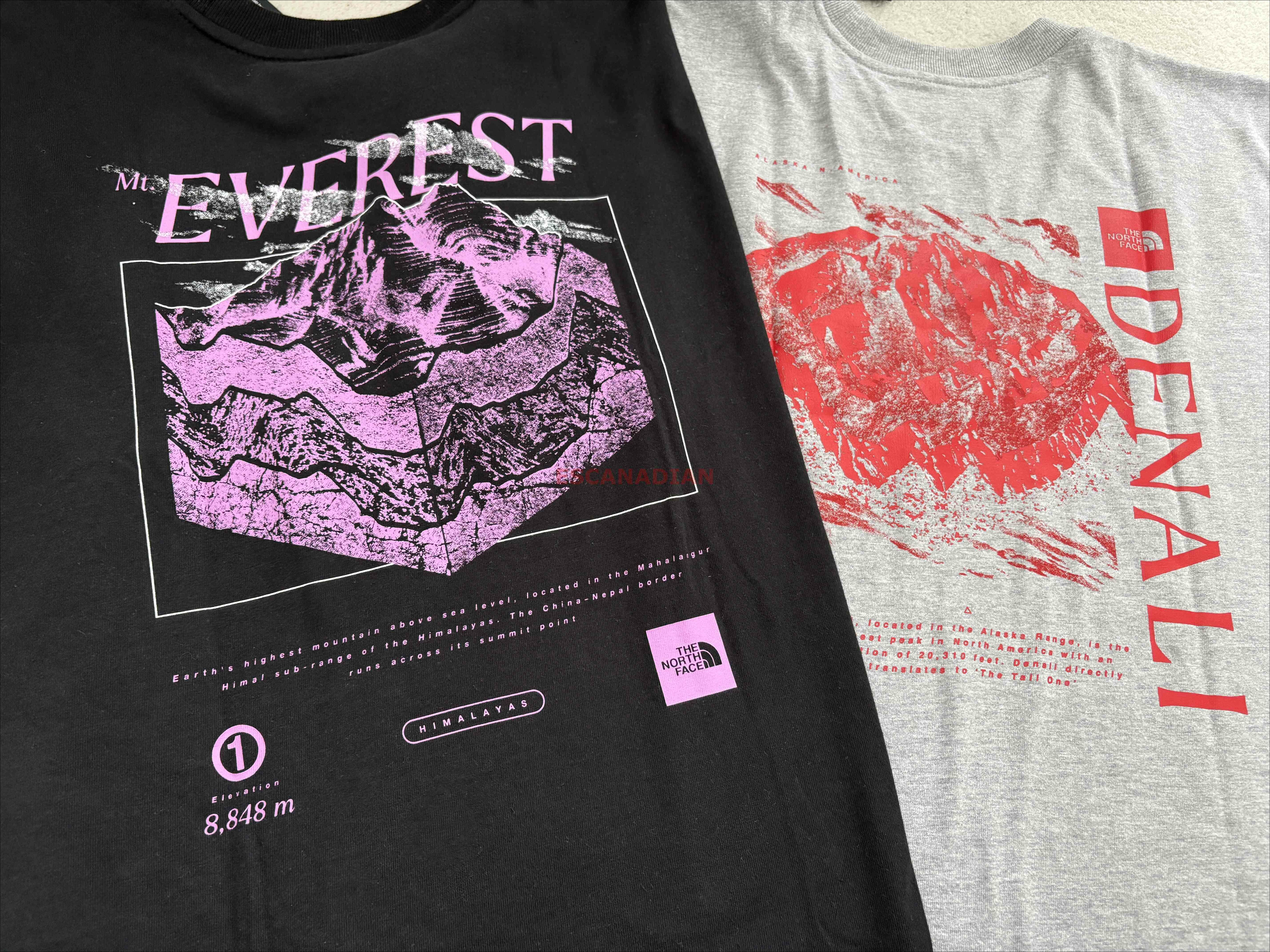 THE NORTH FACE 男大人 厚磅棉質 落肩小寬版 DENALI系列 正反圖案 短TEE