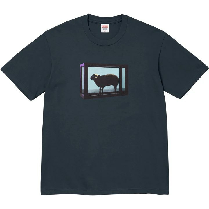 Supreme x Damien Black Sheep Tee 藝術家 聯名 Navy