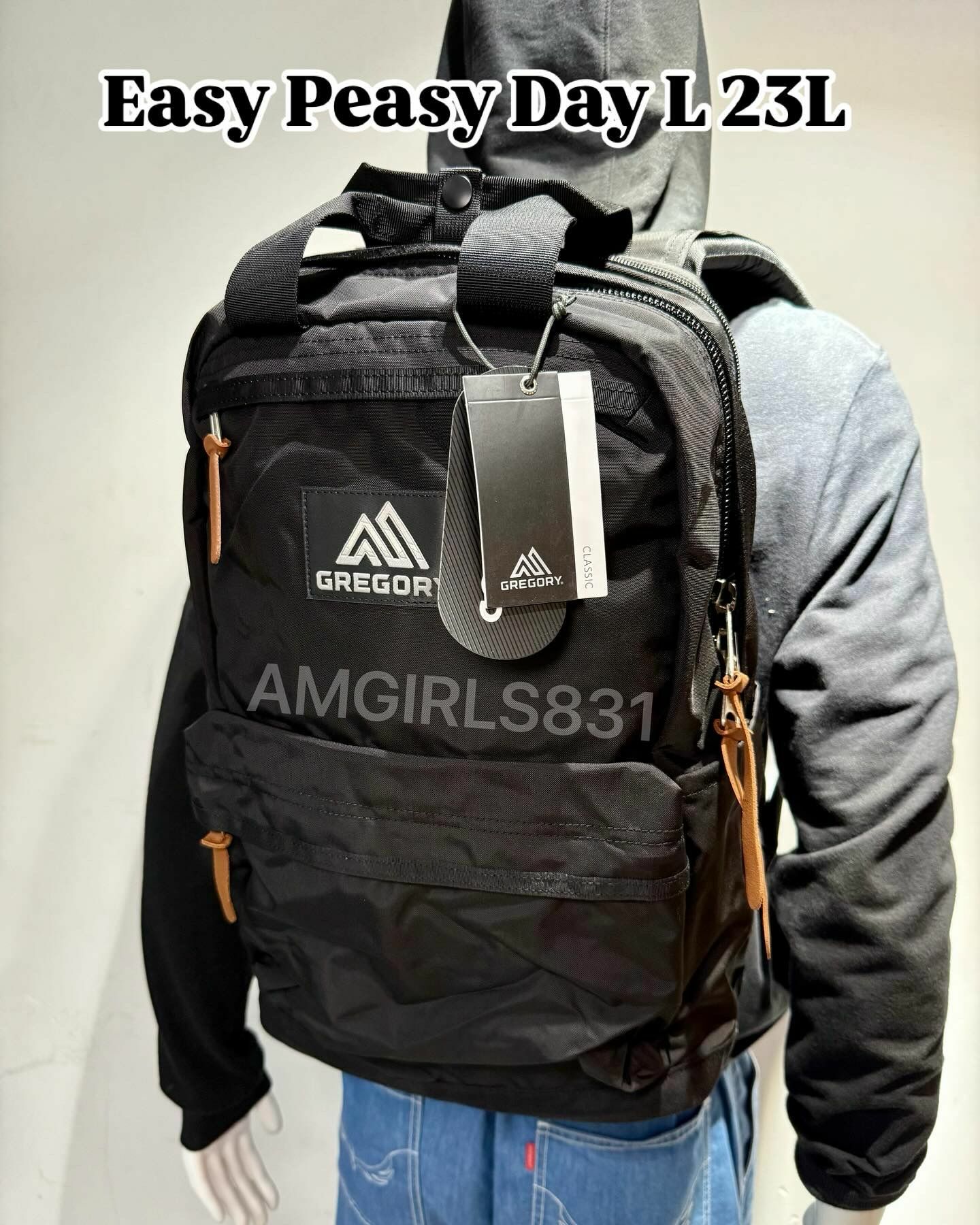 Gregory Easy peasy day L black (23L)