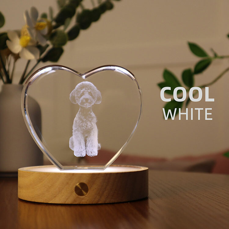 Heart-Shaped 3D Crystal Photo