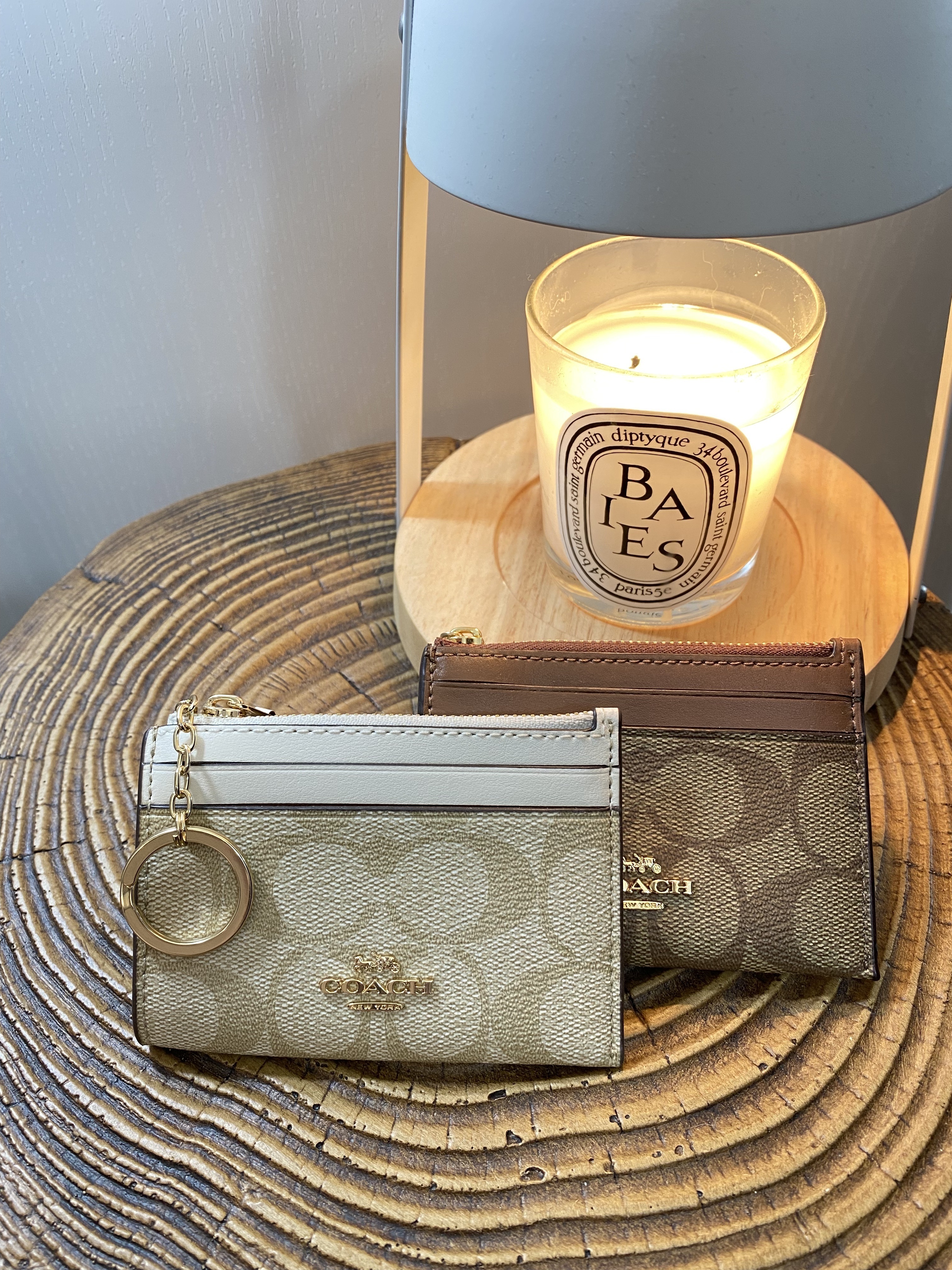 美國現貨 Coach Mini Skinny ID Card Case in Signature Canvas