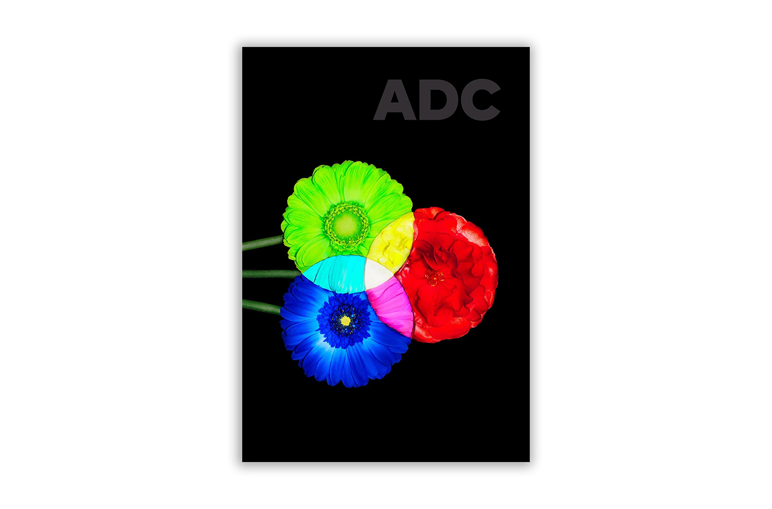 アート・デザイン・音楽 ADC ART DIRECTION JAPAN 2024 ART DIRECTION JAPAN 2024 EXHIBITION | ginza graphic gallery