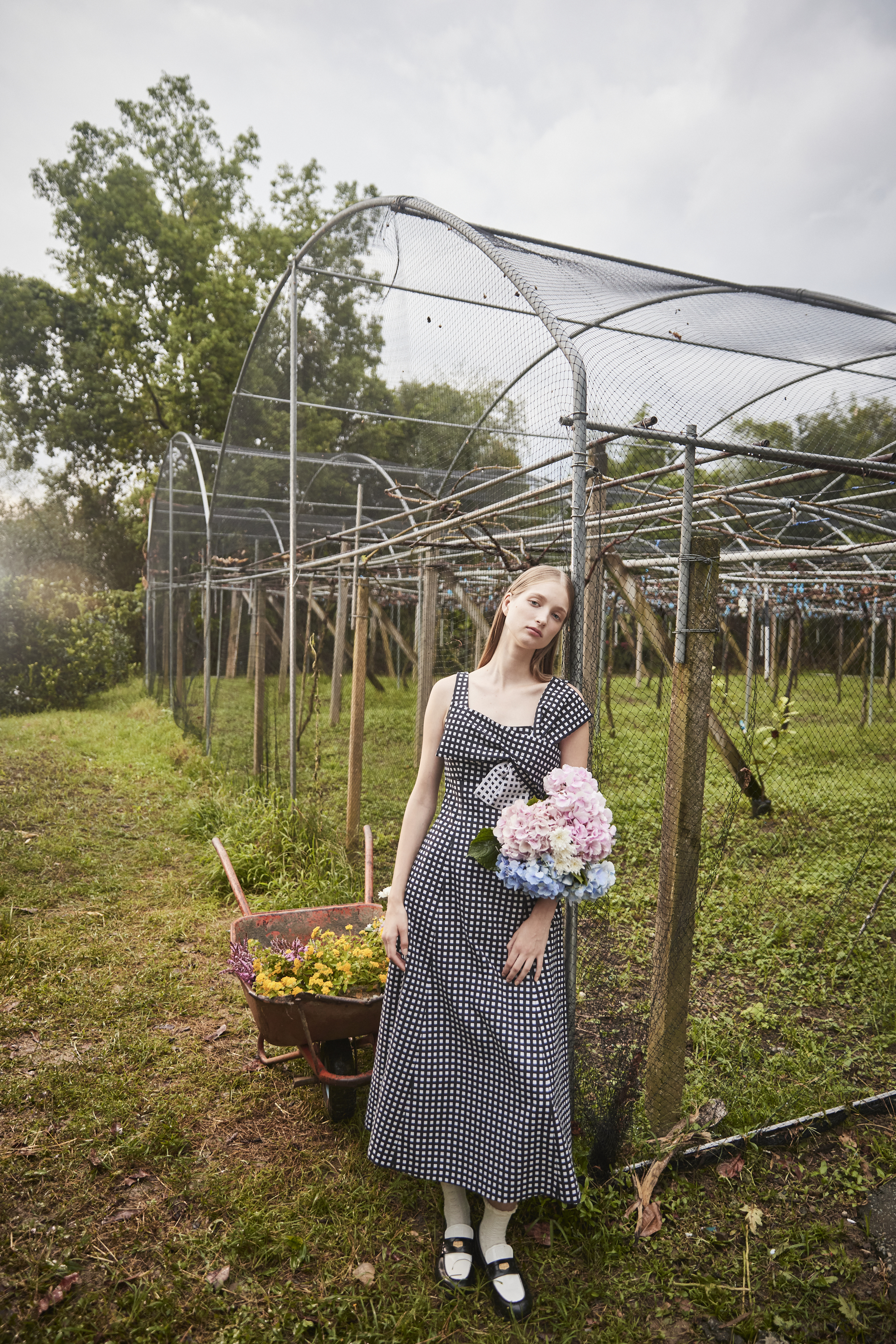 BE10013E1 薇琪格蝴蝶結長洋