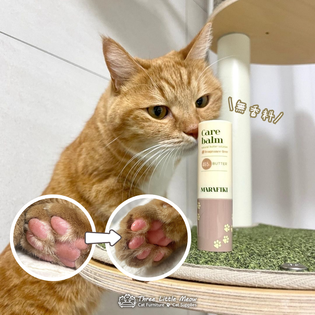 貓用品-肉球膏-皮膚護理-貓癬