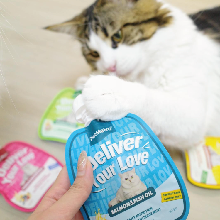 (混款4包優惠套裝) PetMetro 功能性唧唧包貓小食 60g