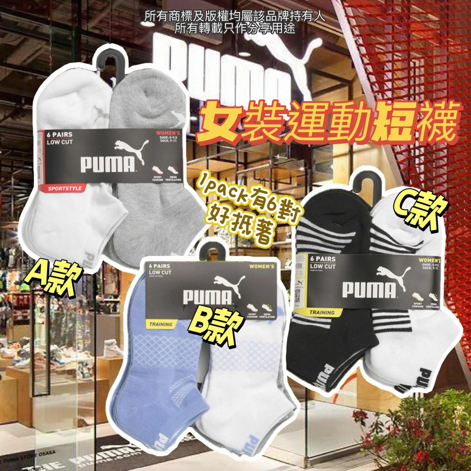 【預購】Puma G032055 女裝運動短襪6對裝