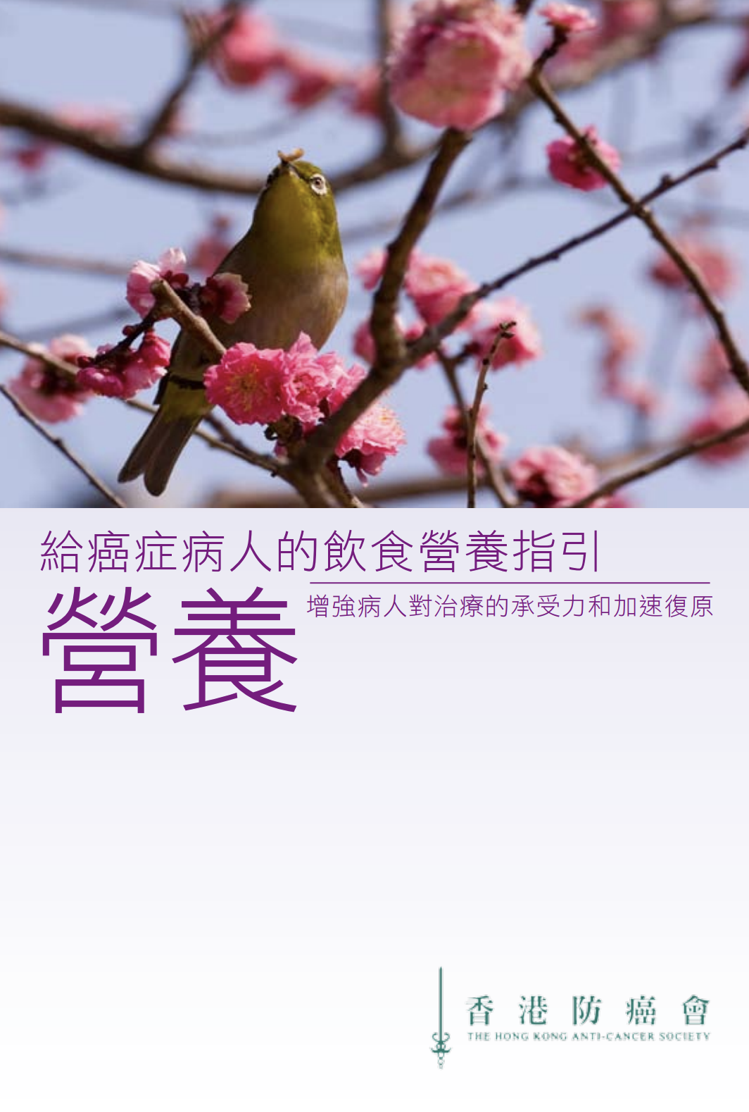 癌症病人的飲食營養指引