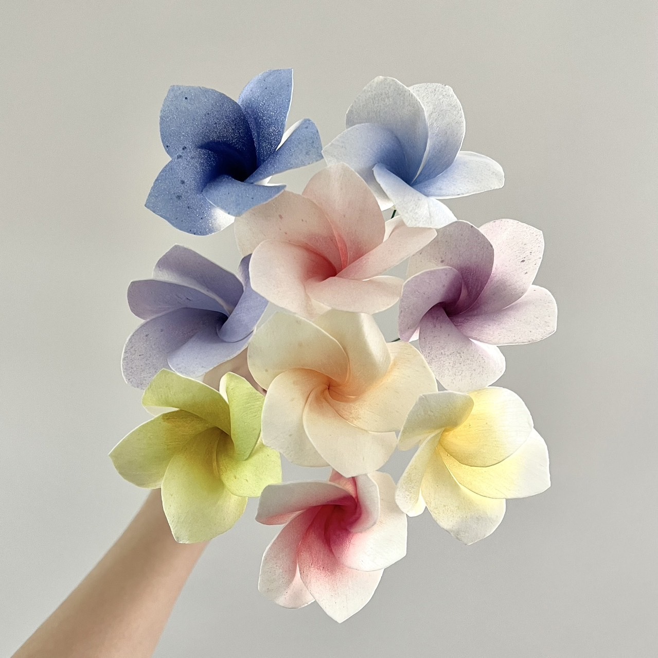 泰國索拉花 雞蛋花 6CM <十支一把> (高品質)