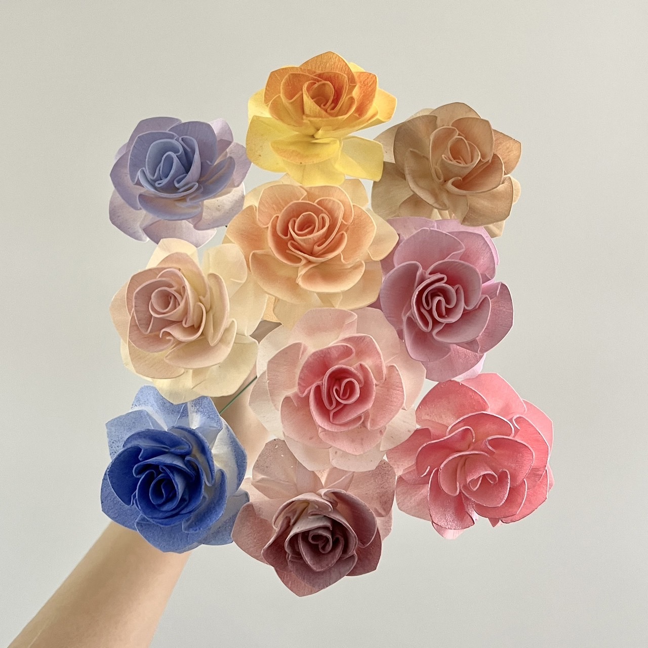 泰國索拉花 山茶花 6CM <十支一把> (高品質)