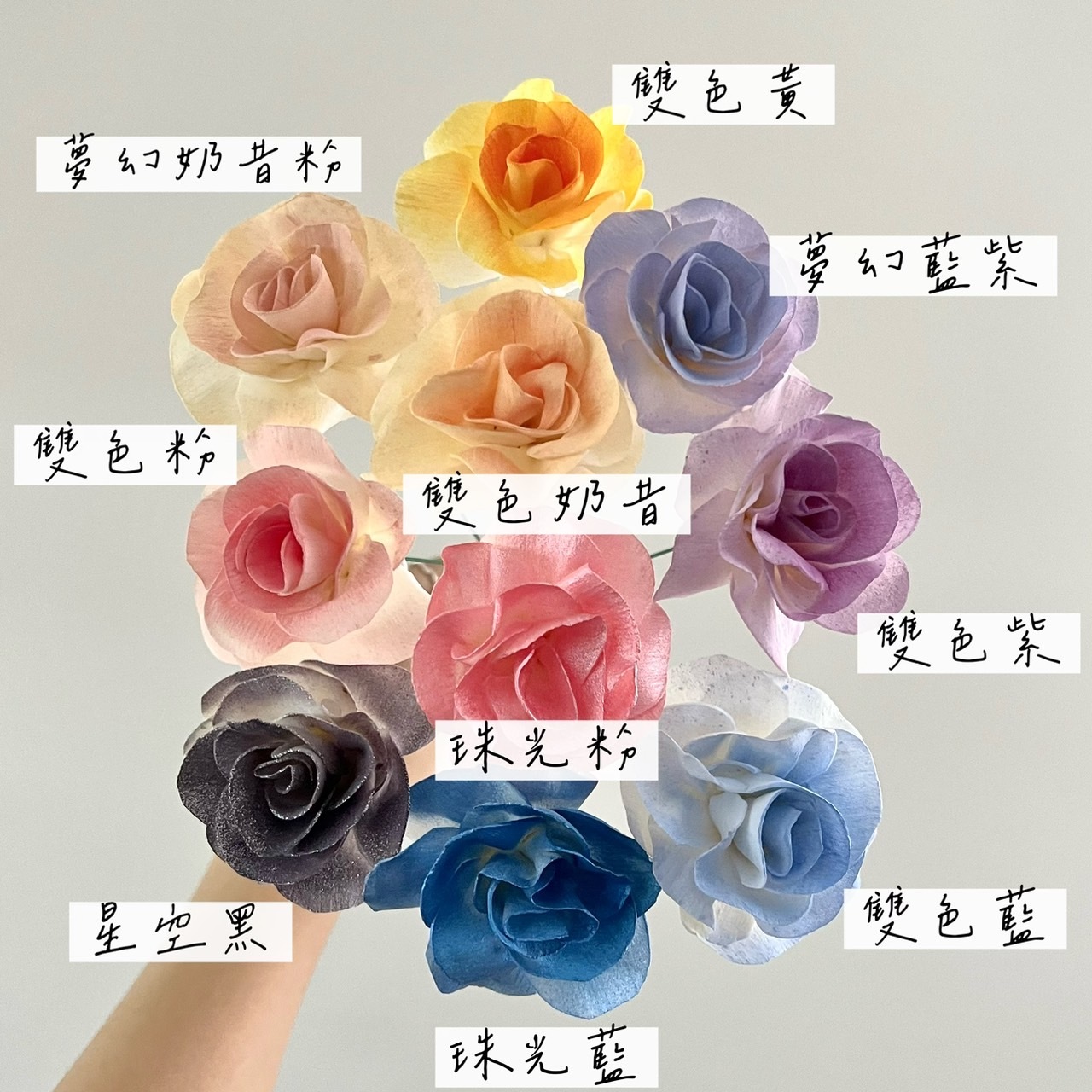 泰國索拉花 圓瓣梔子花 5CM <十支一把> (高品質)