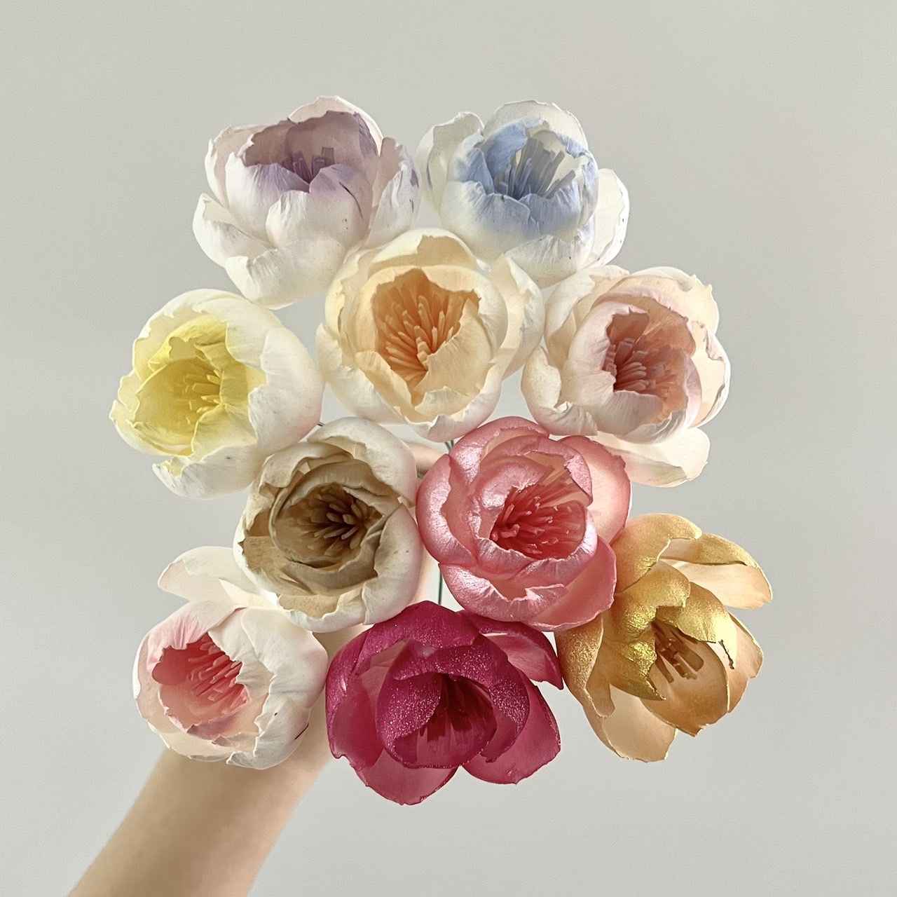 泰國索拉 含苞牡丹 5CM <十支一把> (高品質)