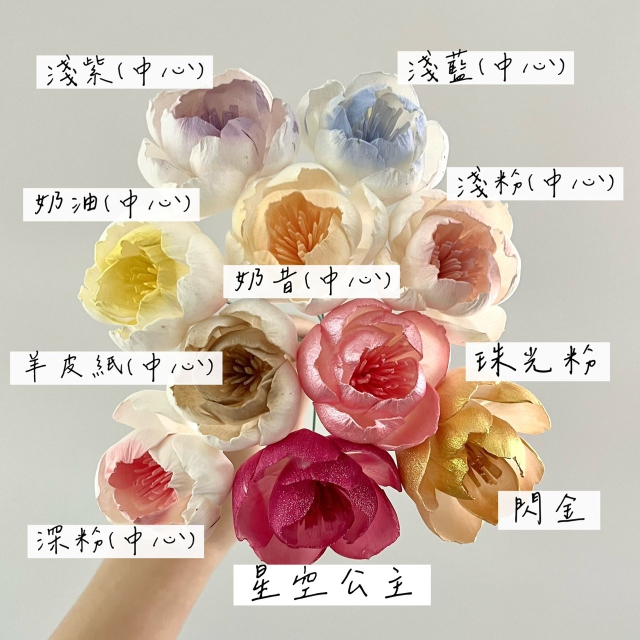 泰國索拉 含苞牡丹 5CM <十支一把> (高品質)