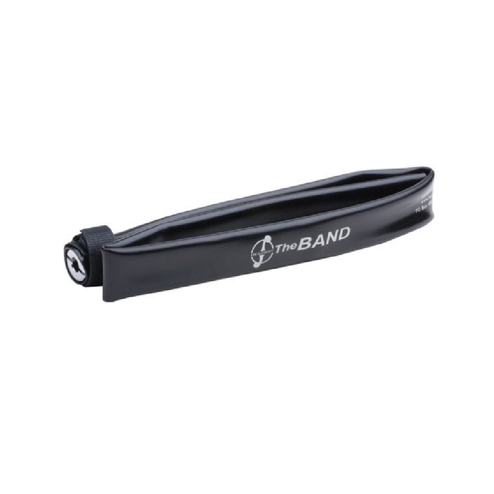 Headway Headway / The Band 小提琴拾音器 第 2 張圖片｜三峽弦樂器