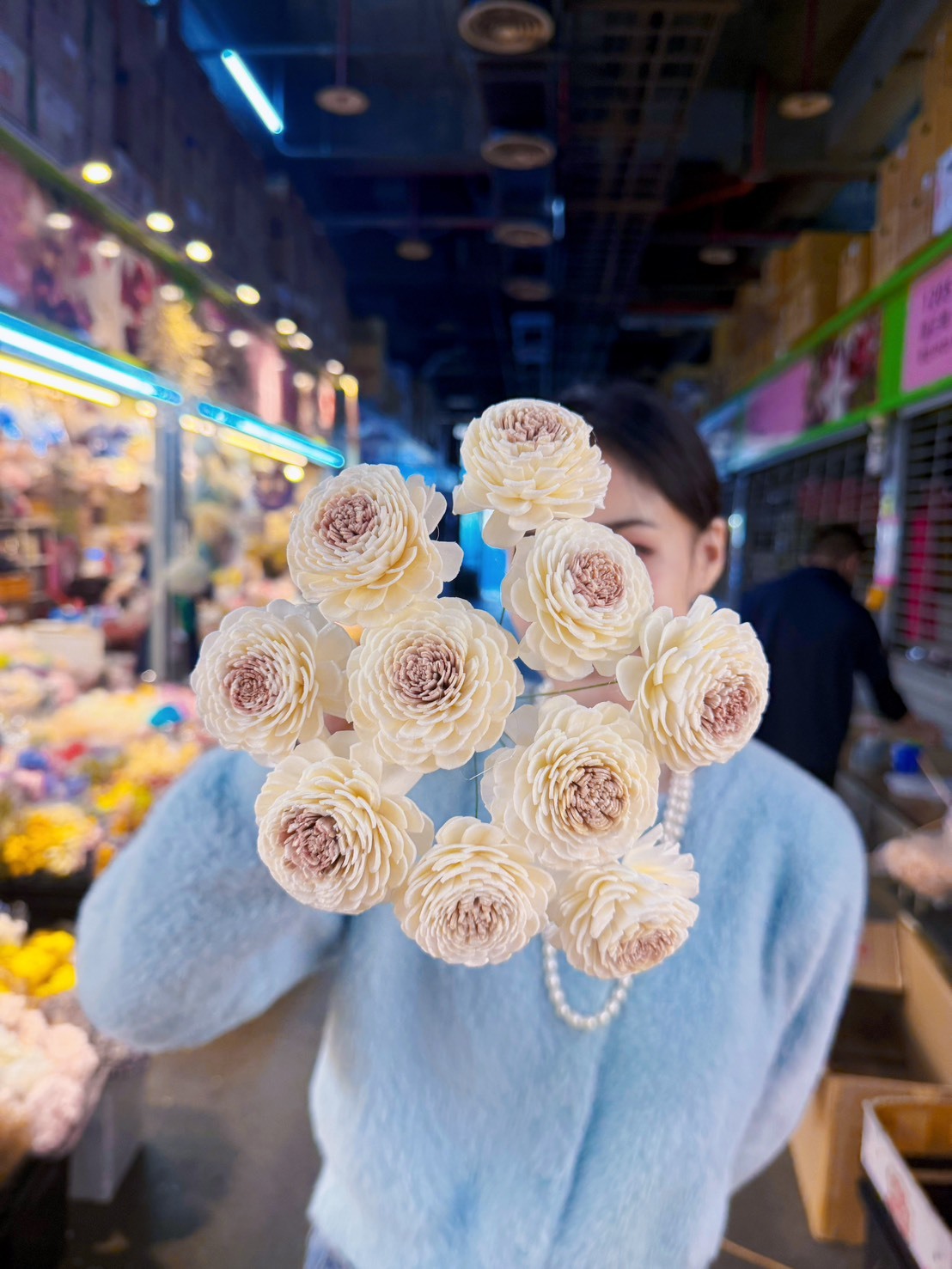 乾燥奶茶索拉/雙色大牡丹