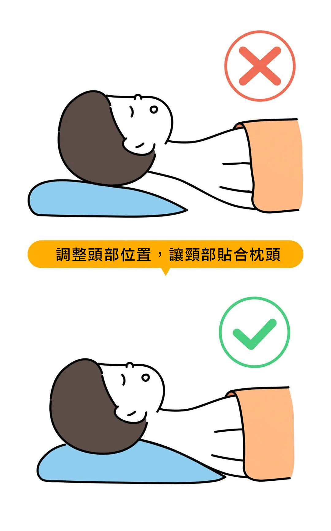 調整頭部位置讓頸部貼合枕頭