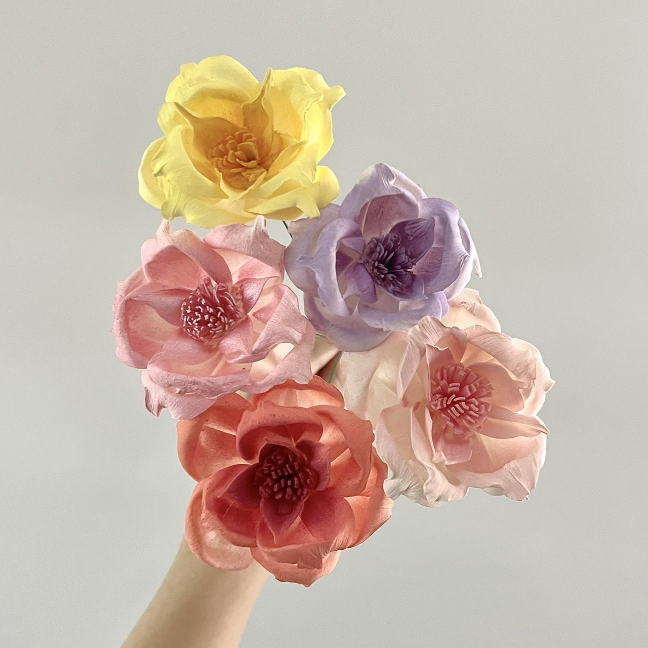 泰國索拉花 薔薇牡丹 6CM <十支一把> (高品質)
