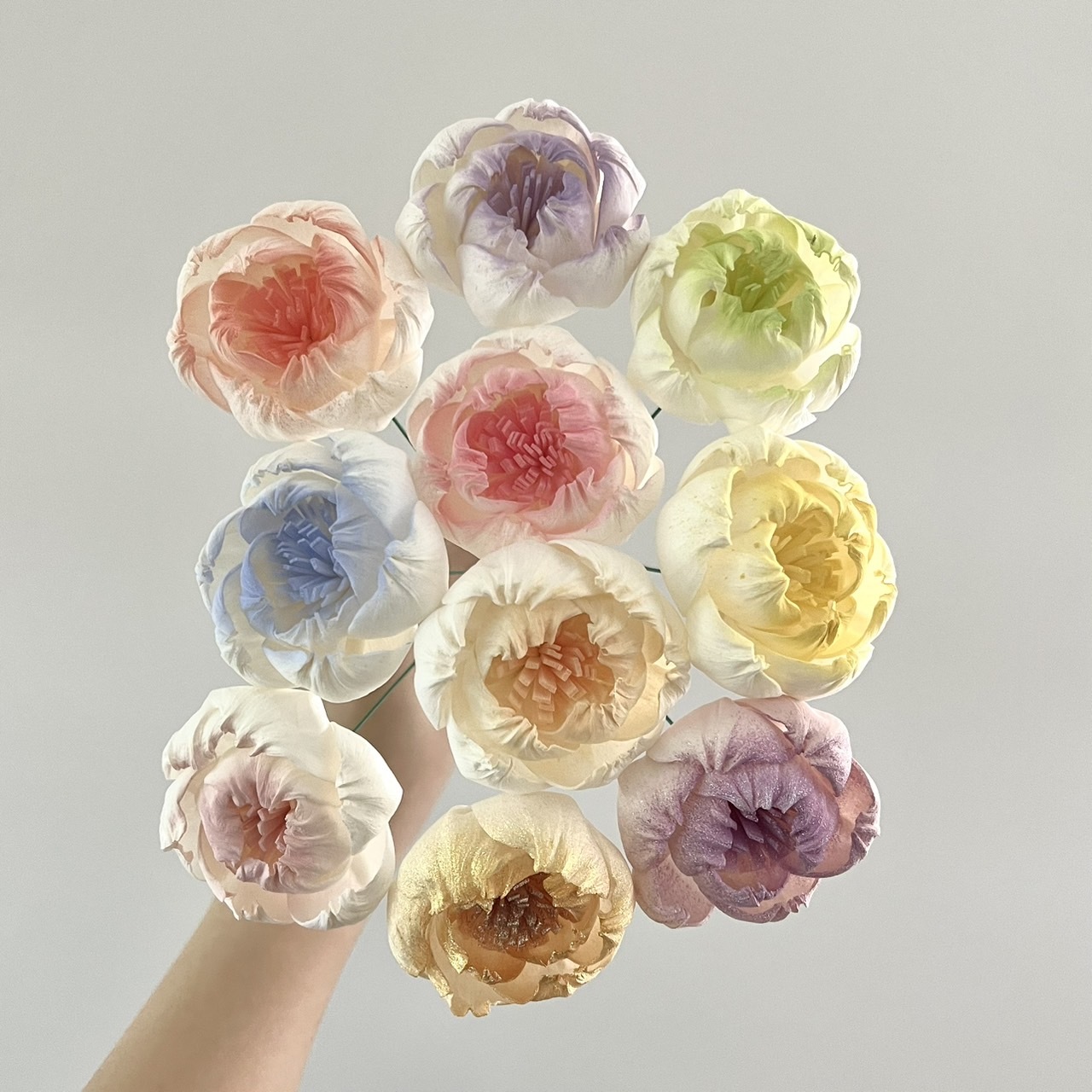 泰國索拉花 牡丹白心(新款) 5CM <十支一把> (高品質)