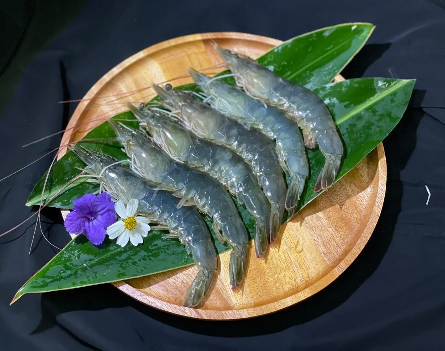 極上海白蝦 2XL (包)