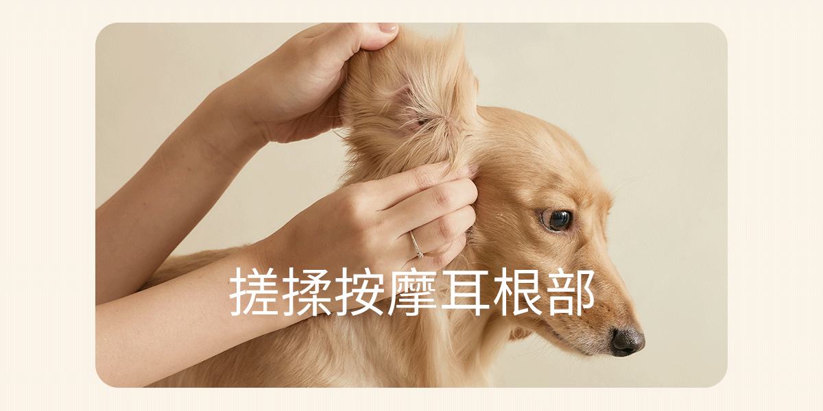 寵物科研 PET+LABO 舒敏潔耳液 110ml(4)