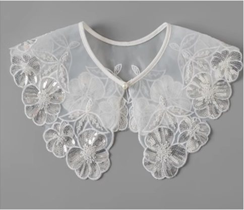 BC1PF049Z1 領片 - 網路限定