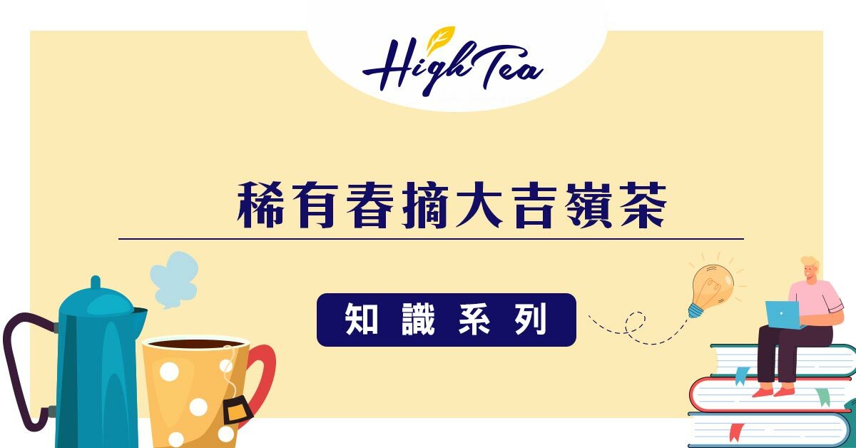 稀有春摘大吉嶺