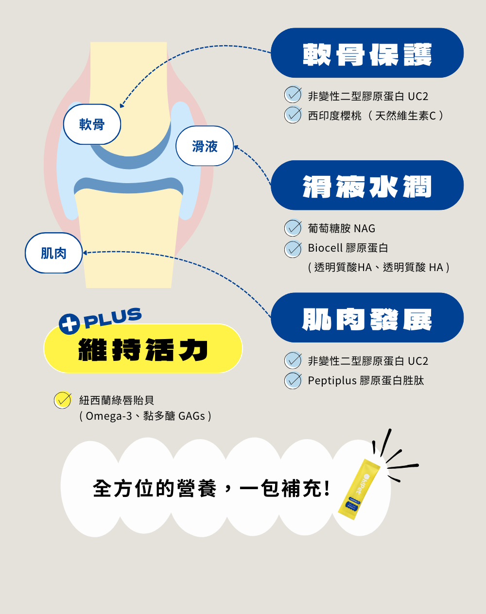 維持活力必須吃uc2