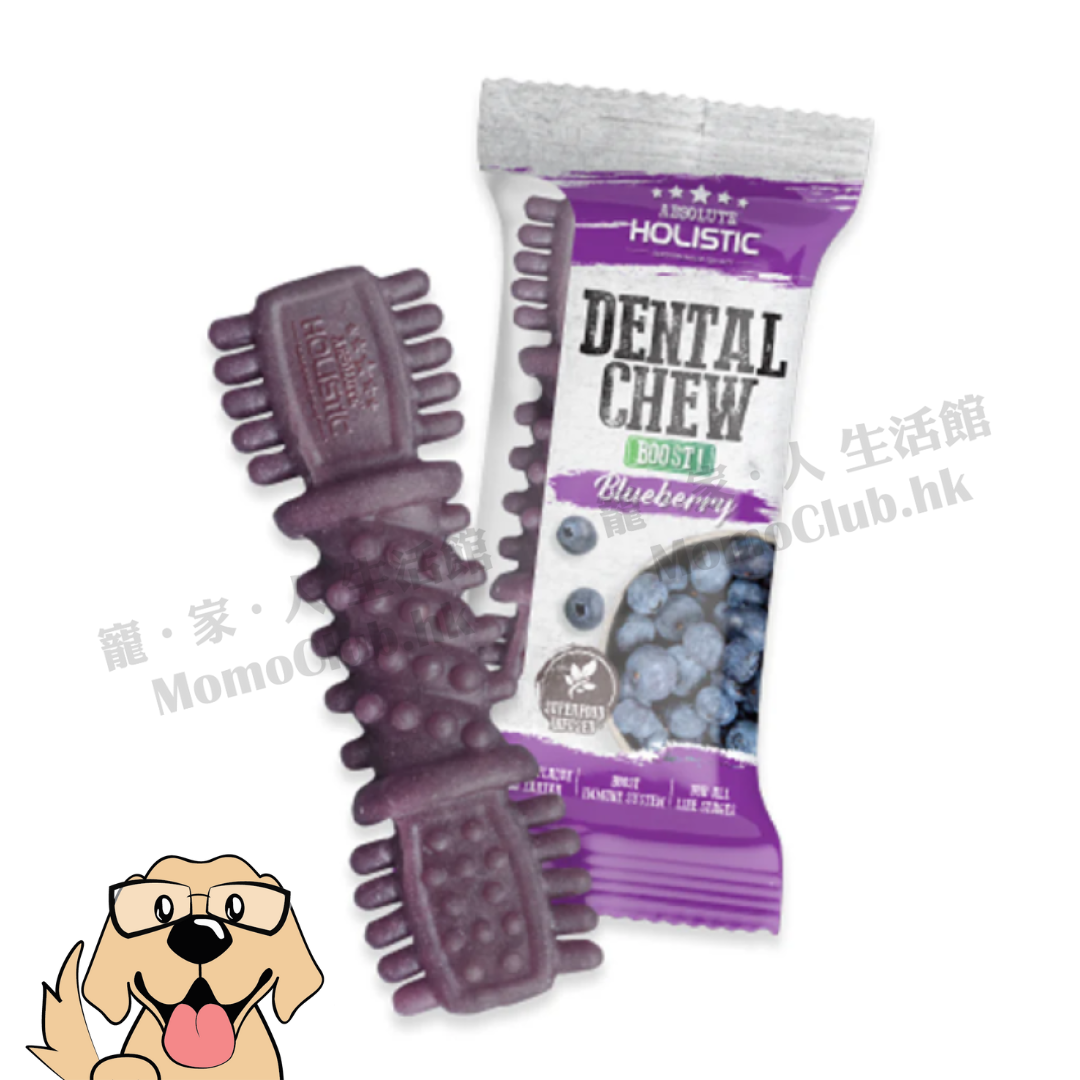 Absolute Holistic - 無穀潔齒骨 BOOST 4" 1支裝 (藍莓口味) [犬用]