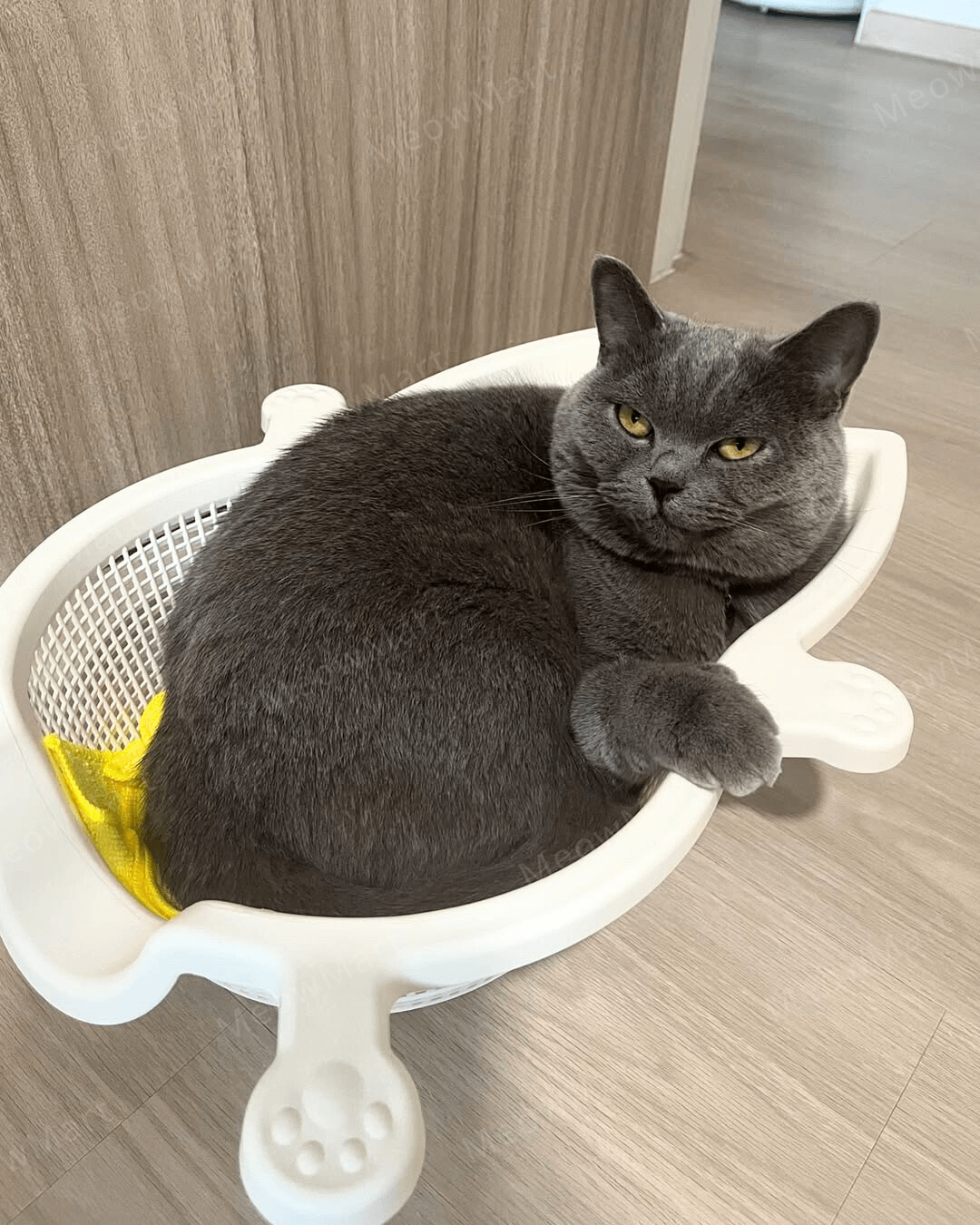 韓國 CATBANG 菜籃子貓窩