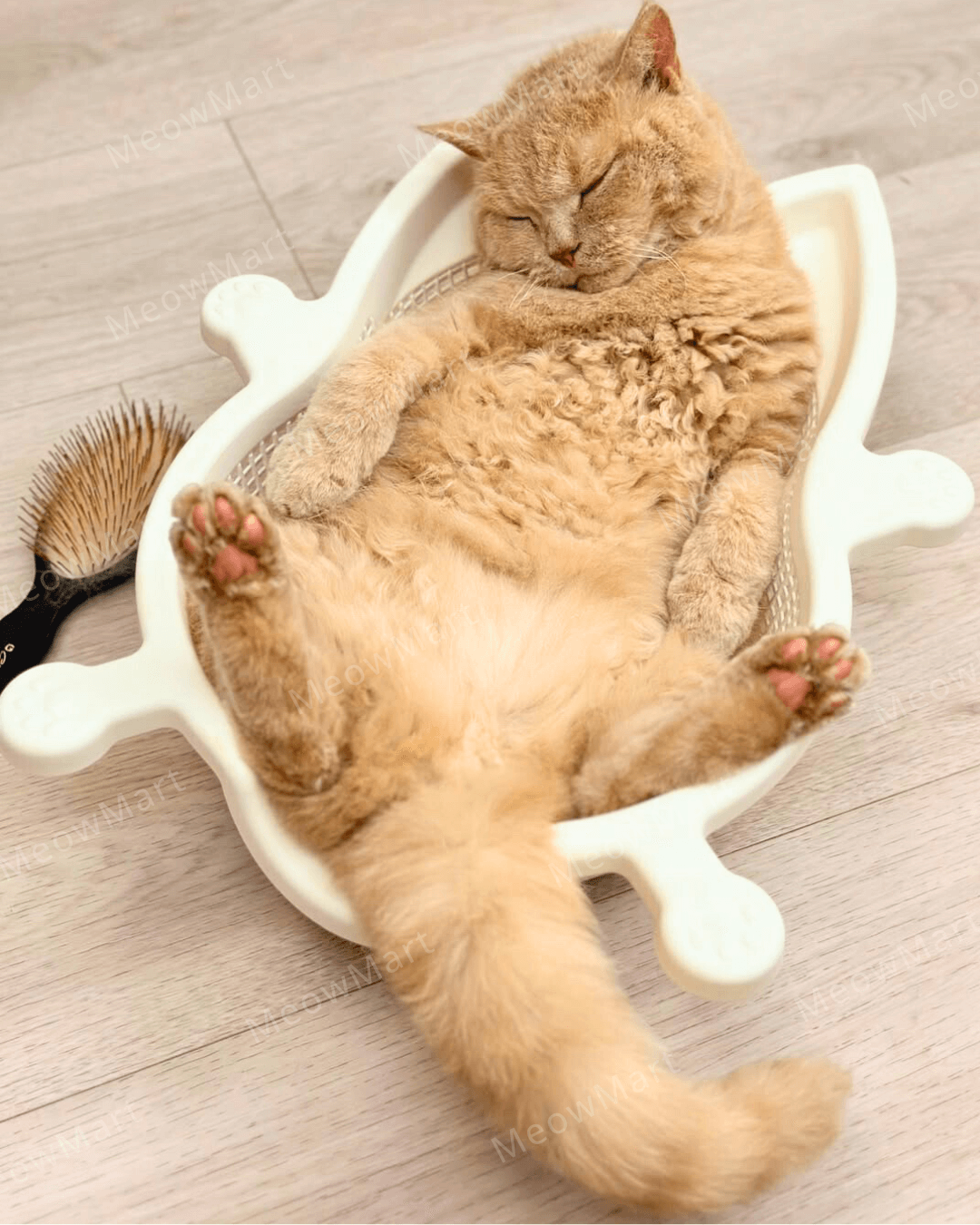 韓國 CATBANG 菜籃子貓窩