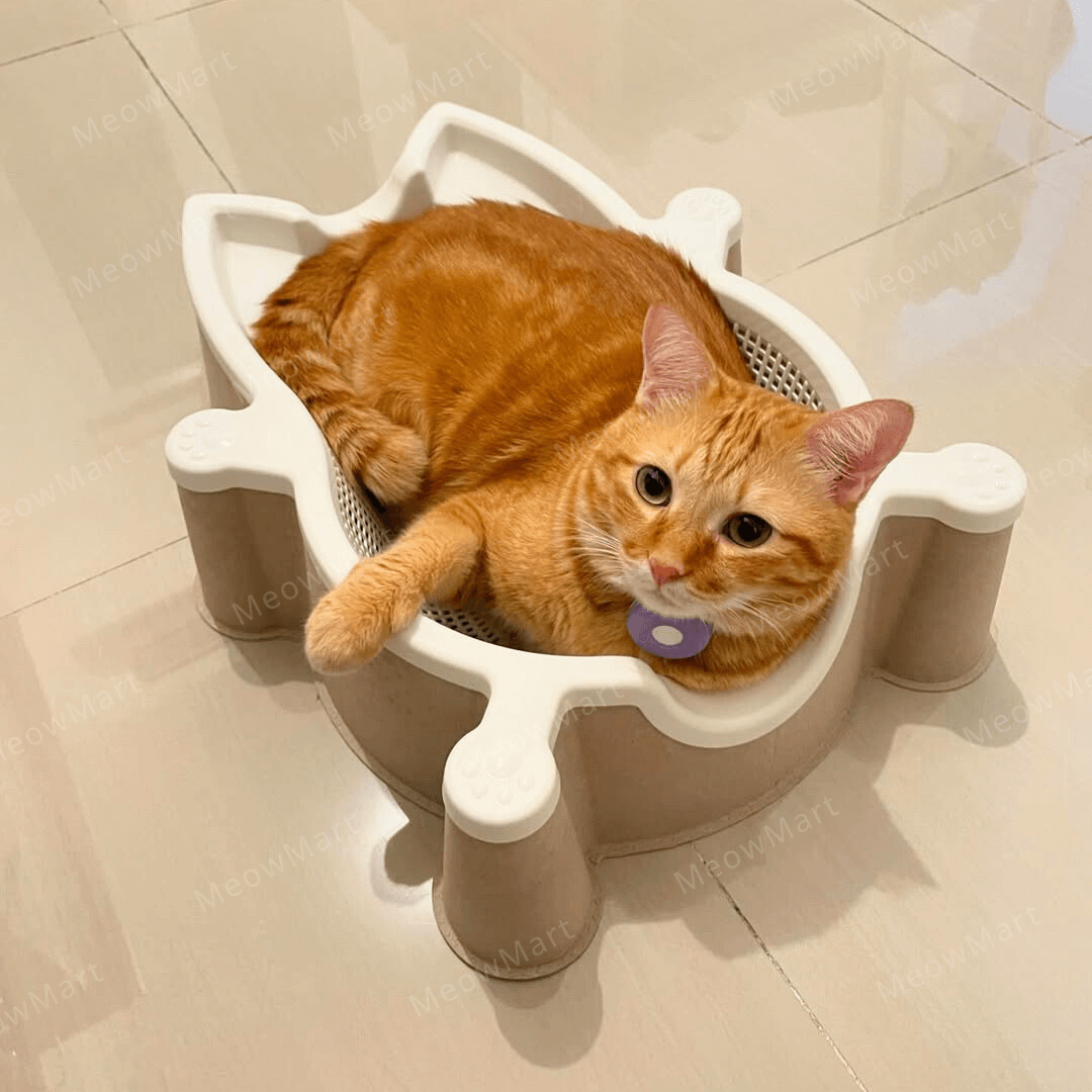 韓國 CATBANG 菜籃子貓窩