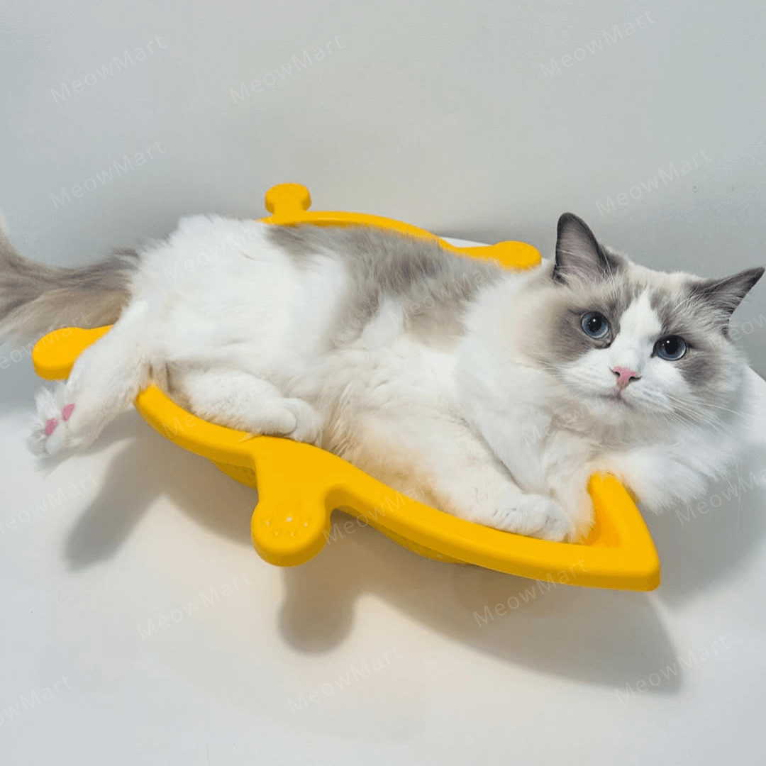 韓國 CATBANG 菜籃子貓窩