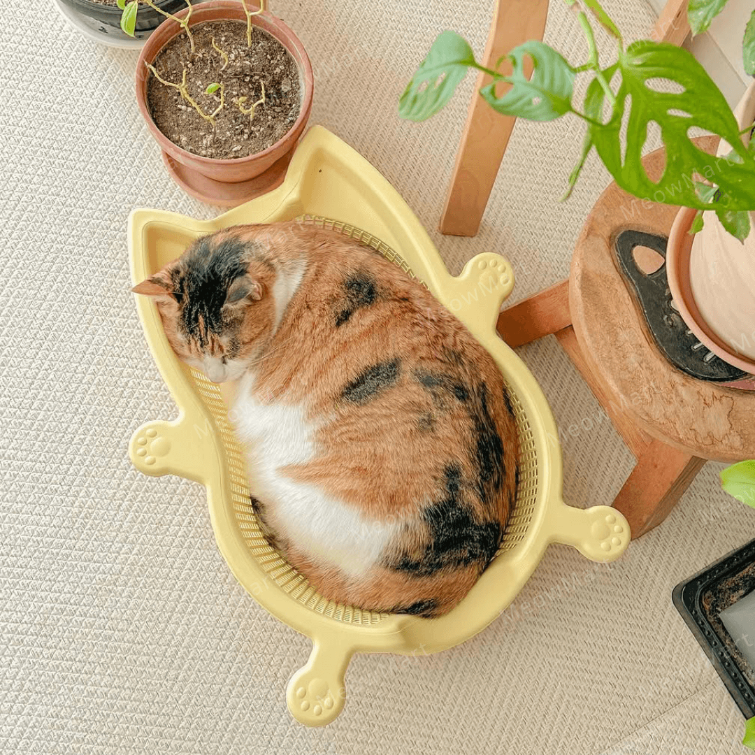 韓國 CATBANG 菜籃子貓窩