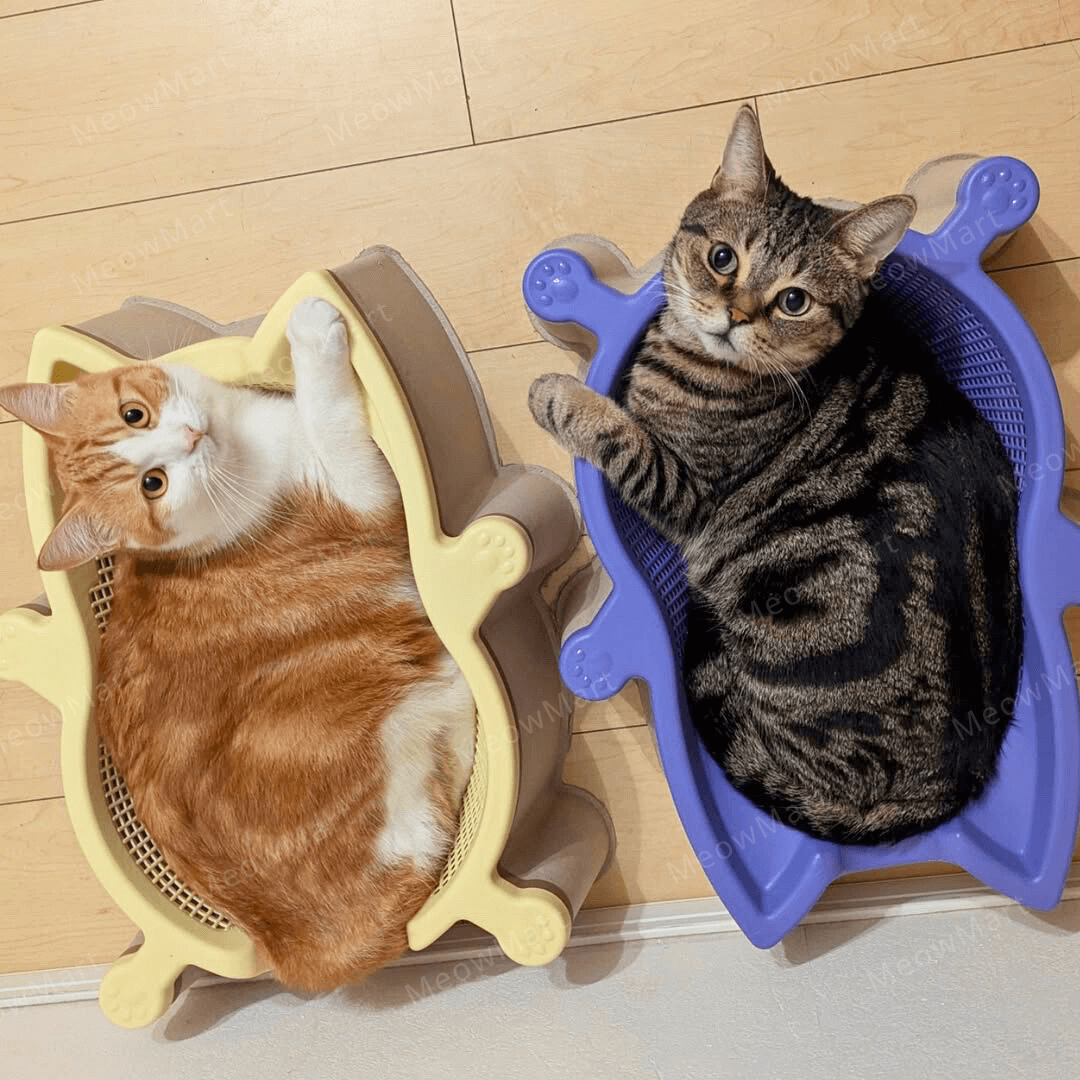 韓國 CATBANG 菜籃子貓窩