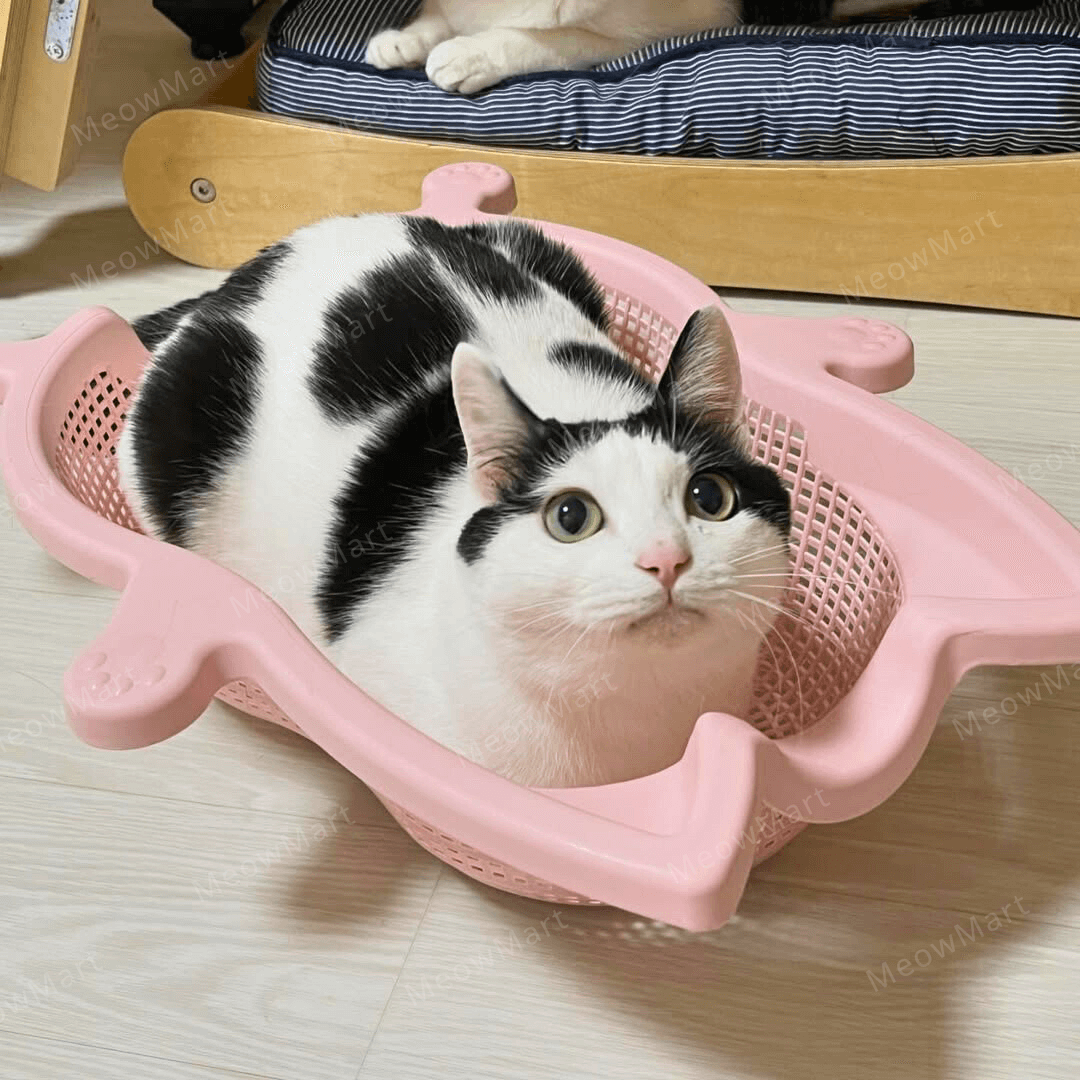 韓國 CATBANG 菜籃子貓窩