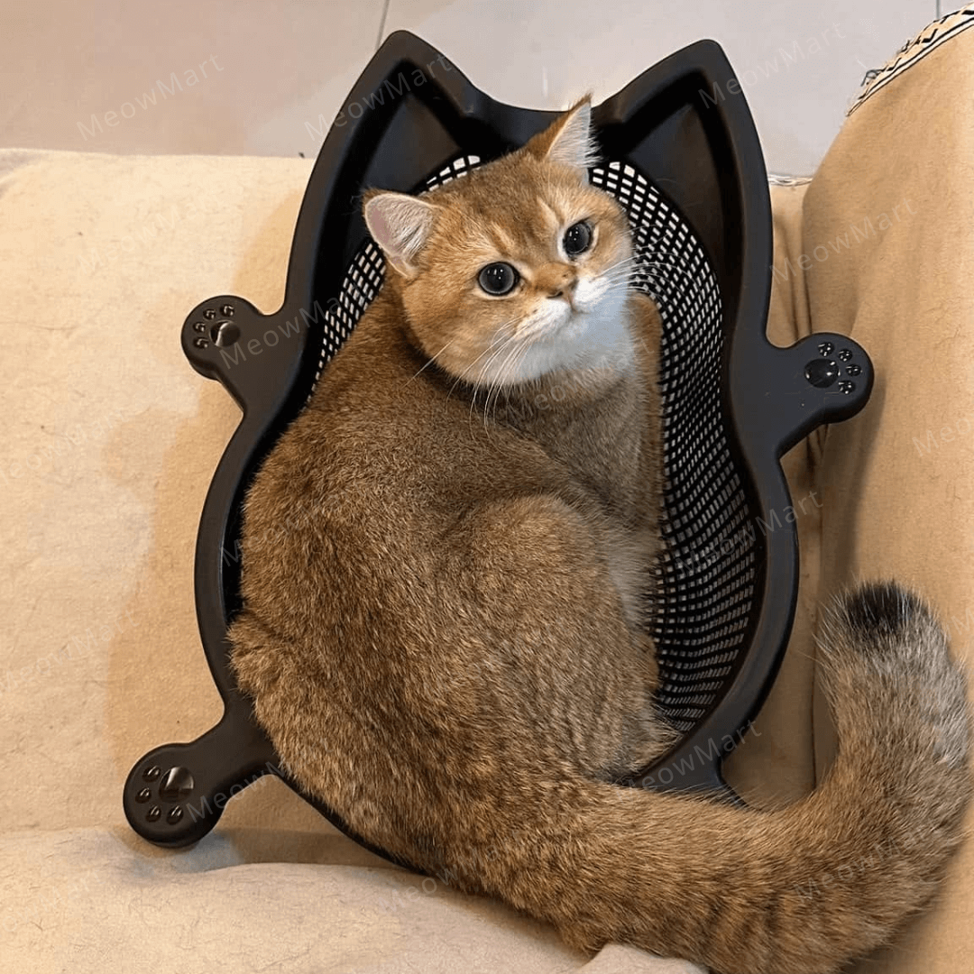 韓國 CATBANG 菜籃子貓窩