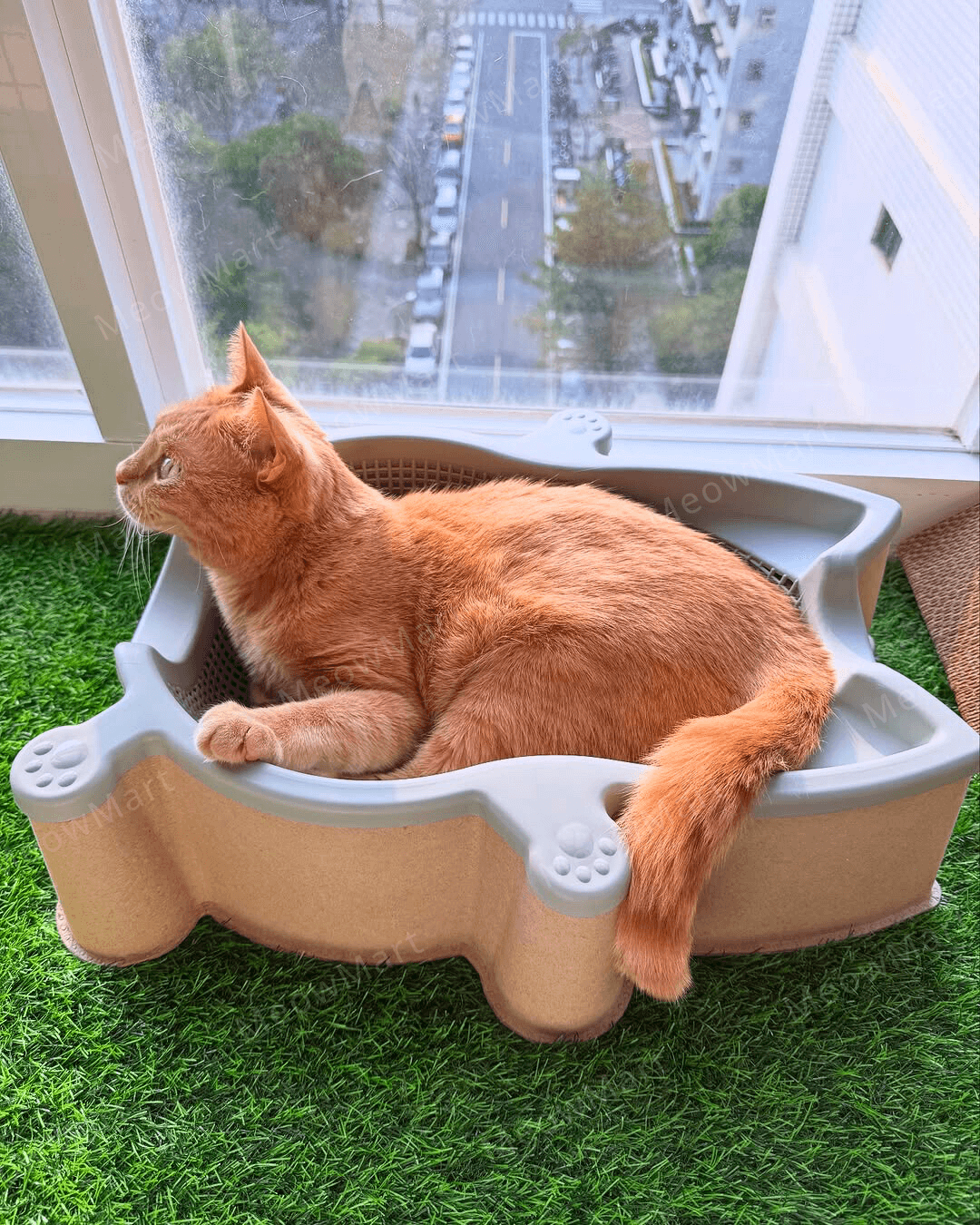 韓國 CATBANG 菜籃子貓窩