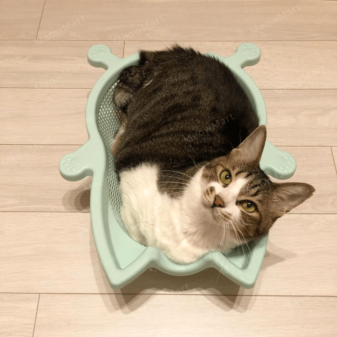 韓國 CATBANG 菜籃子貓窩