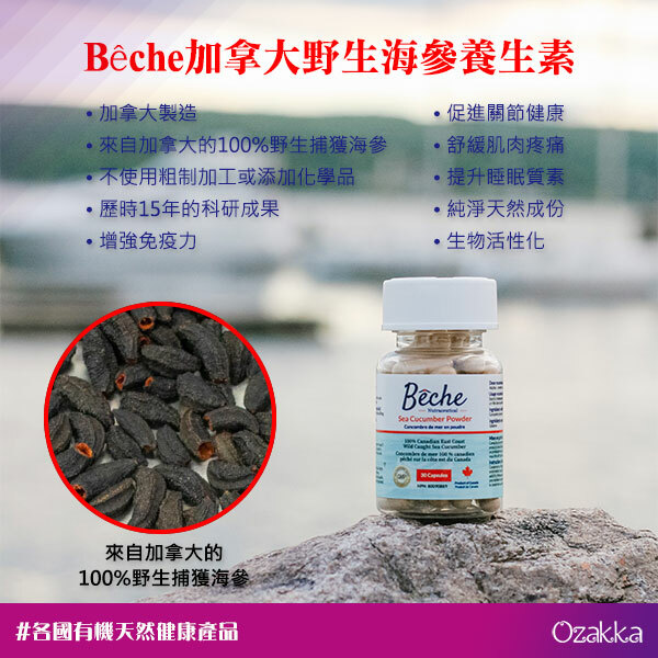 Bêche加拿大野生海參養生素